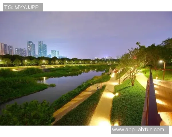 深圳福田足球场周边美食与休闲活动推荐探索城市新生活方式